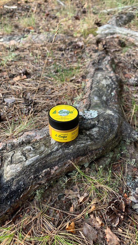 VEĢETĀRĀ ZIEDE ''EVIJA'' AR ZIEMEĻU OLĪVEĻĻU