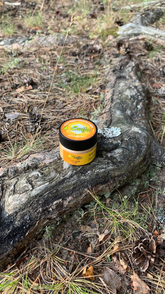 KLASISKĀ ZIEDE ''EVIJA''