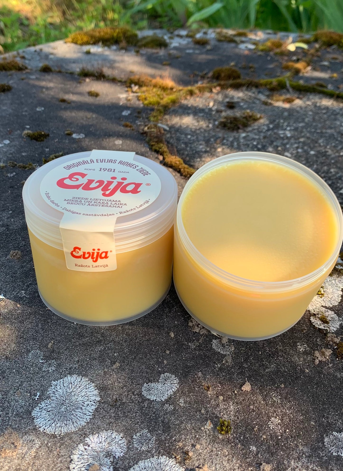 KLASISKĀ ZIEDE ''EVIJA''