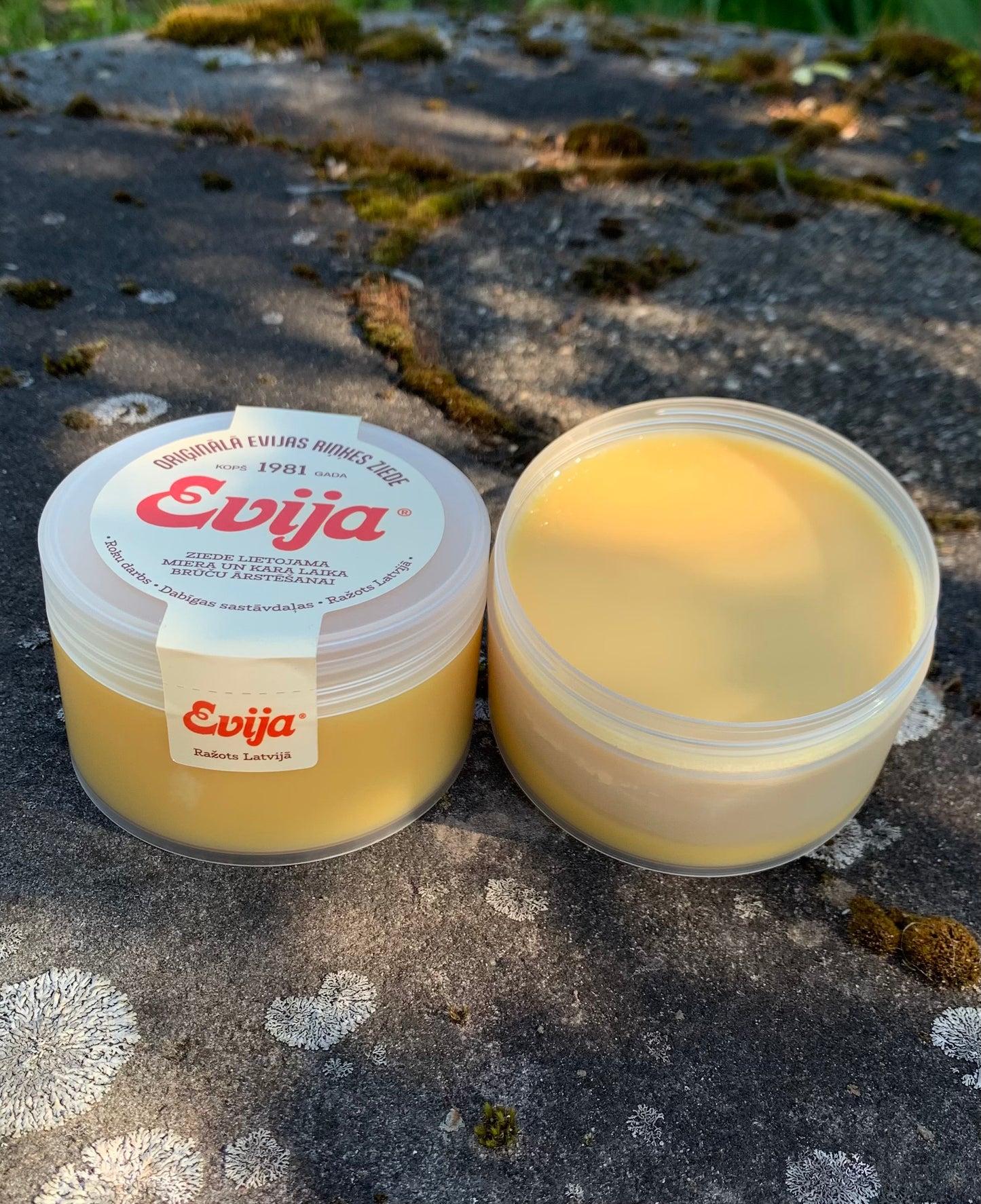 KLASISKĀ ZIEDE ''EVIJA''