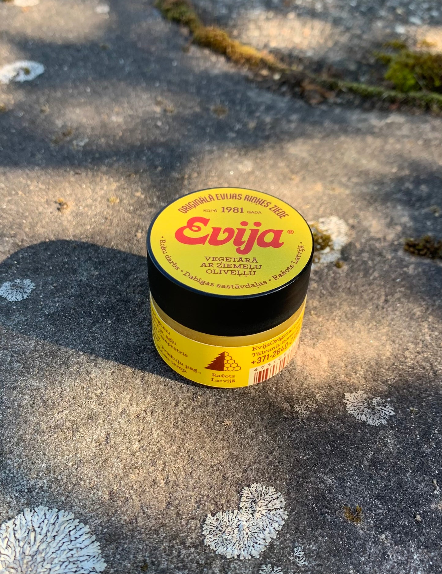VEĢETĀRĀ ZIEDE ''EVIJA'' AR ZIEMEĻU OLĪVEĻĻU