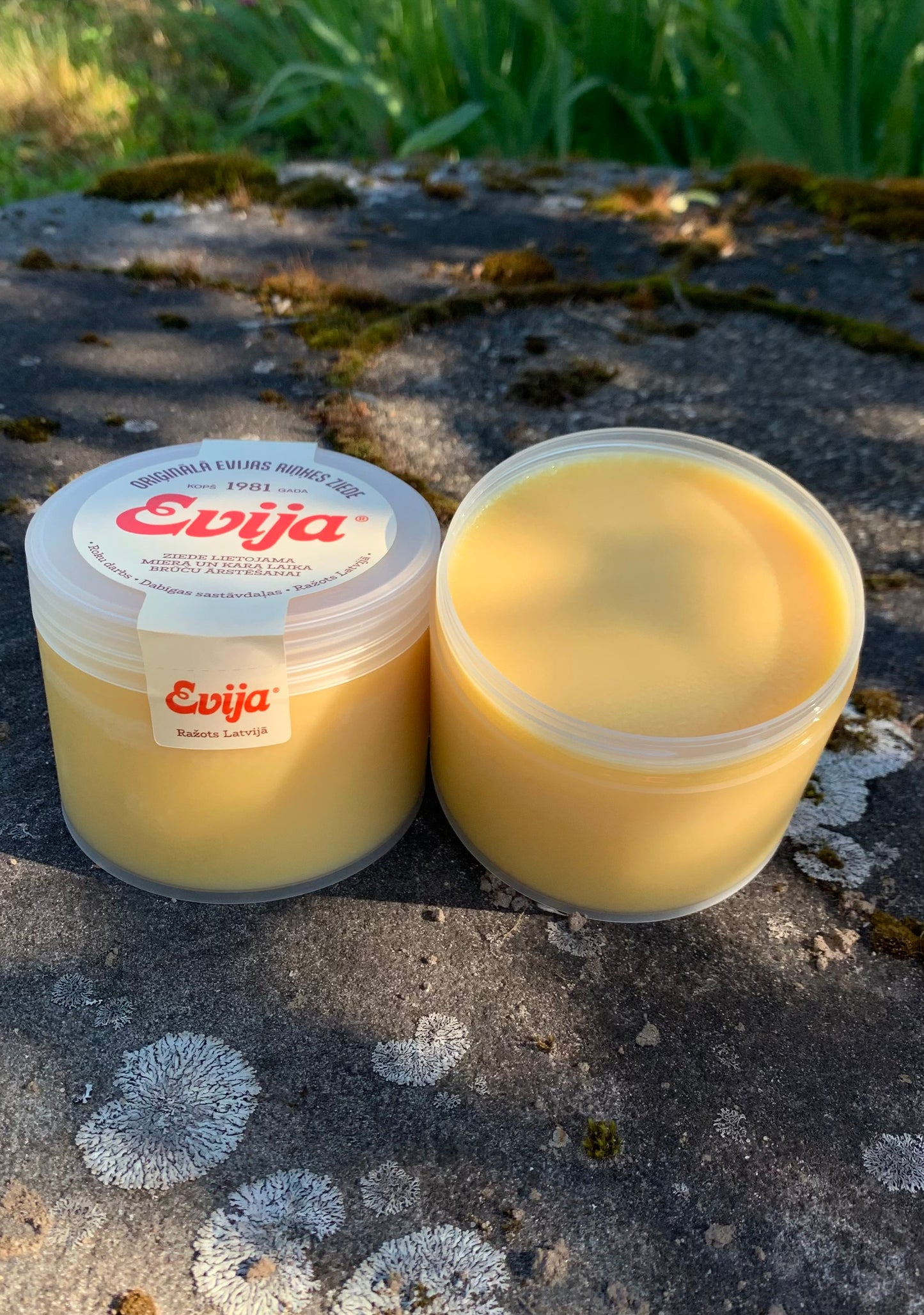 KLASISKĀ ZIEDE ''EVIJA''