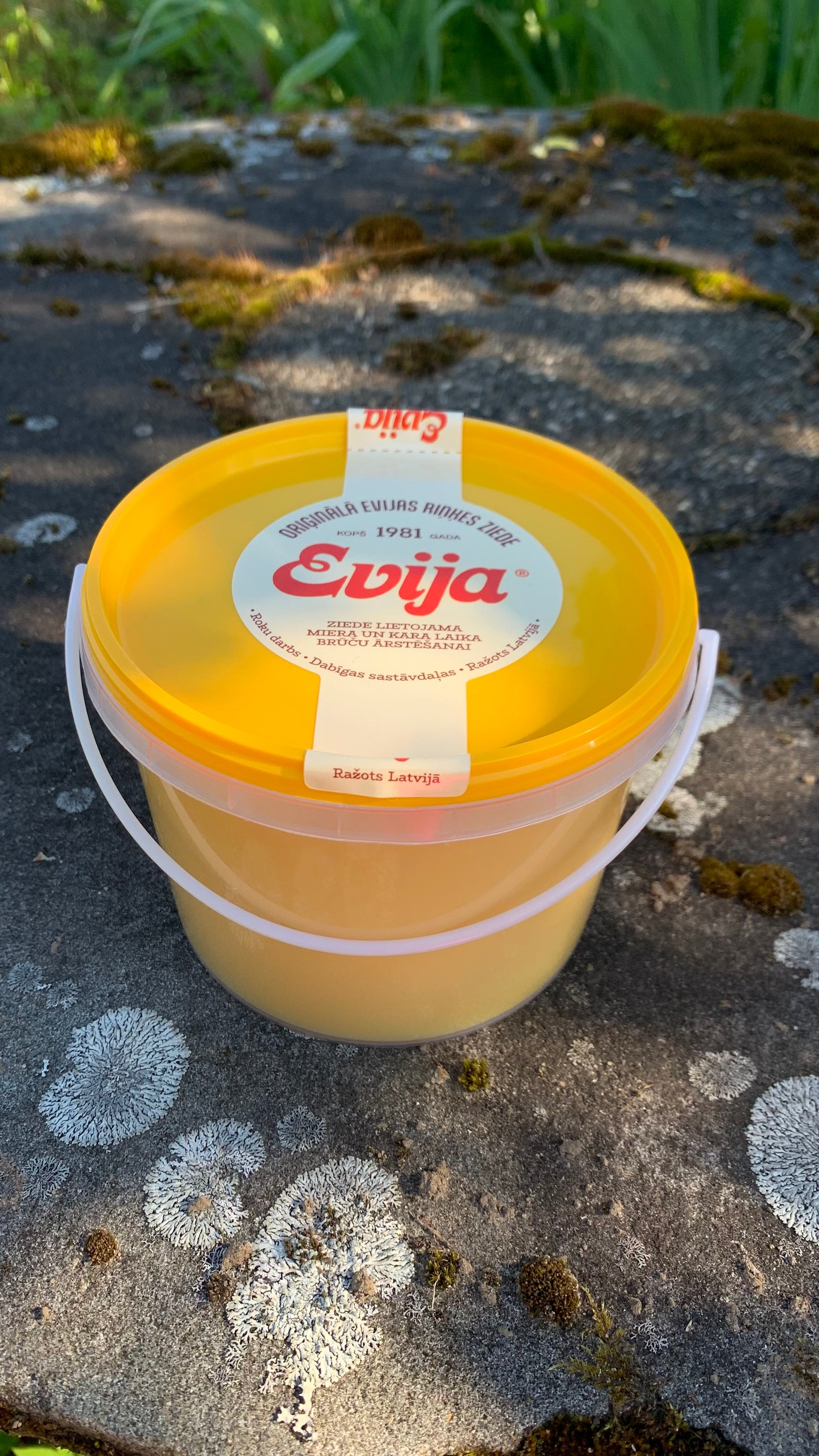 KLASISKĀ ZIEDE ''EVIJA''