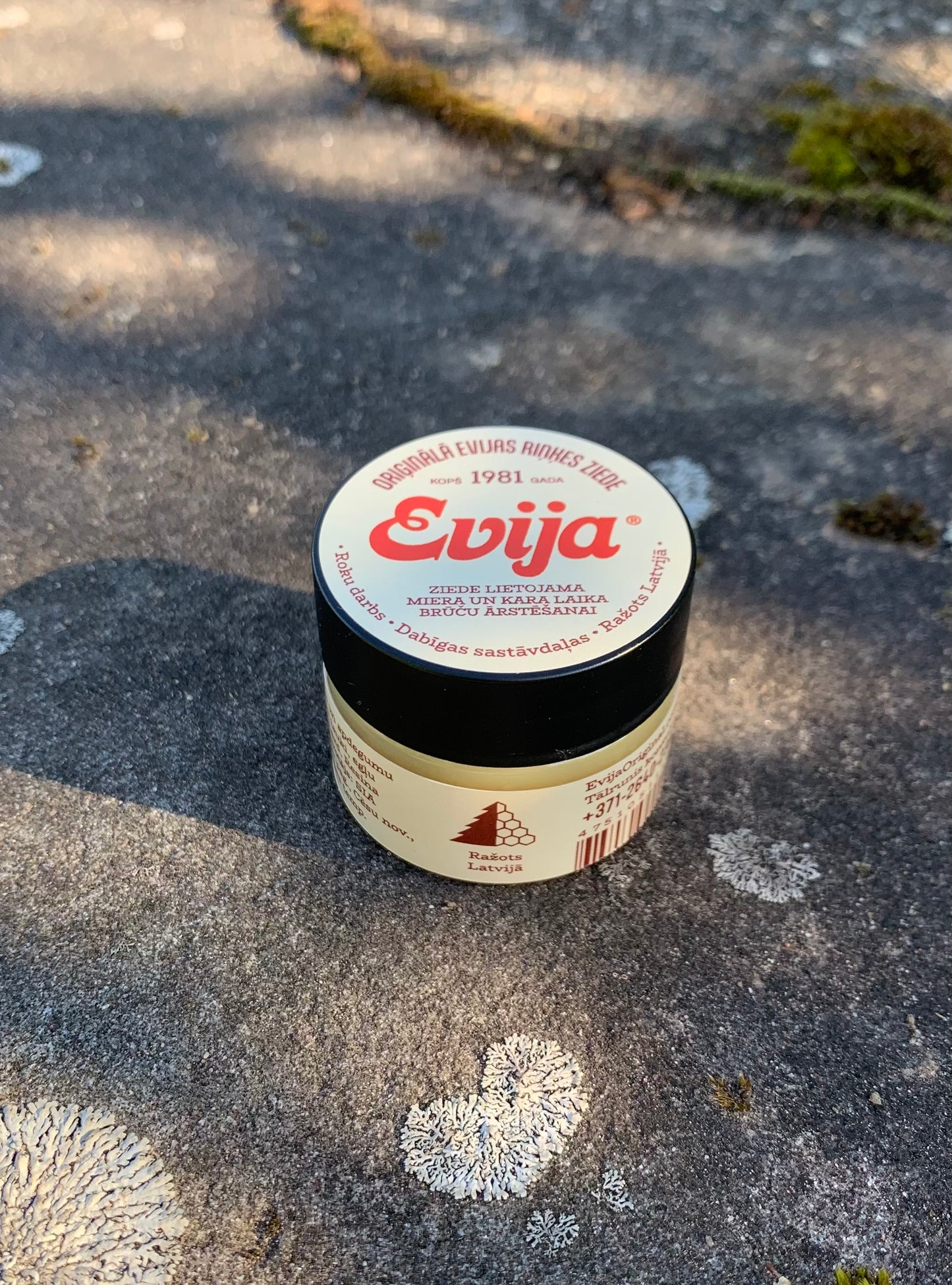 KLASISKĀ ZIEDE ''EVIJA''